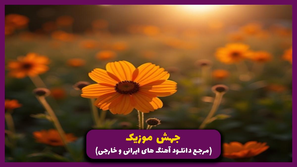 دانلود آهنگ ﻣﮕﻪ ﻣﻴﺸﻪ ﻧﺒﺎﺷﻰ و دﻳﻮوﻧﻪ ﻧﺸﻢ از احسان وزیری